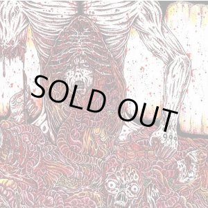 画像:  MEAT SHITS / Bowel rot (cd) Meat 5000  
