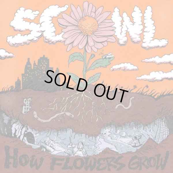 画像1: SCOWL / How flowers grow (cd)(Lp) Flatspot