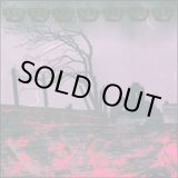 画像: GEHENNA / Upon the gravehill (Lp) King of the monsters