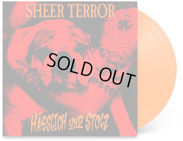 画像4: SHEER TERROR / Ugly and proud (Lp) Superhero 