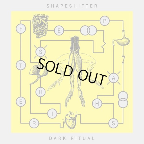 画像1:   SHAPESHIFTER / Dark ritual (cd) Ungulates 