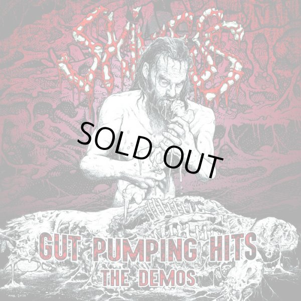 画像1: SKINLESS / Gut pumping hits - the demos (2Lp) F.o.a.d    