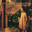 画像1: FROM THE DYING SKY / Truth's last horizon (cd) Knives out 