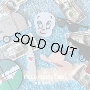 画像: BUSHMIND / Field of dreams (cd) Alwayth