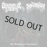 画像: TERMINAL NATION, KRUELTY / The ruination of imperialism (Lp) 20 buck spin 