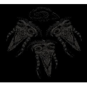 画像: TRIKORONA / 様々な困惑 (cd + flexi) Hello from the gutter  