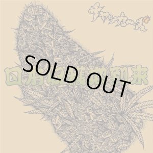 画像:   チャッカーズ / 日本収穫期到来 (cd) Fade-in  