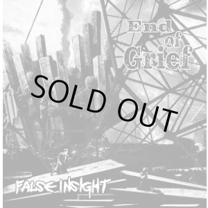 画像: FALSE INSIGHT / End of grief (cd) self 