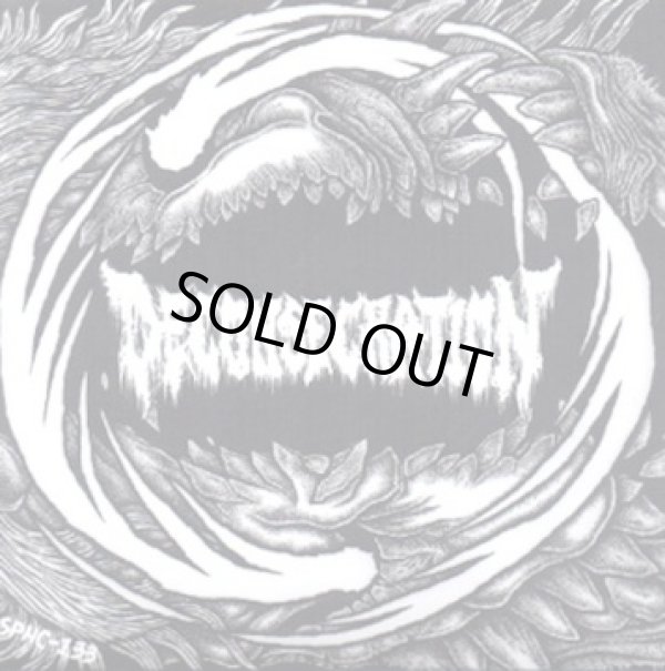 画像2: NOIZEGOAT, DECONSECRATION / Split (7ep) Sphc/Psychocontrol  