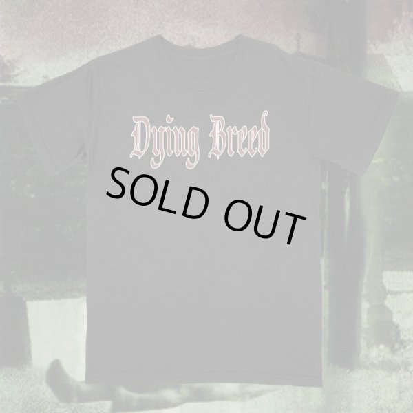 画像3: DYING BREED / God's hate (t-shirt) A389  