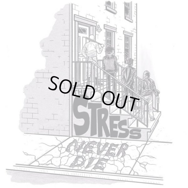 画像1:  THE STRESS / Never die (cd) day zero collective