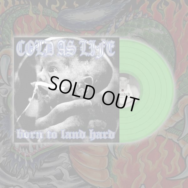 画像1: COLD AS LIFE / Born to land hard (Lp) A389   