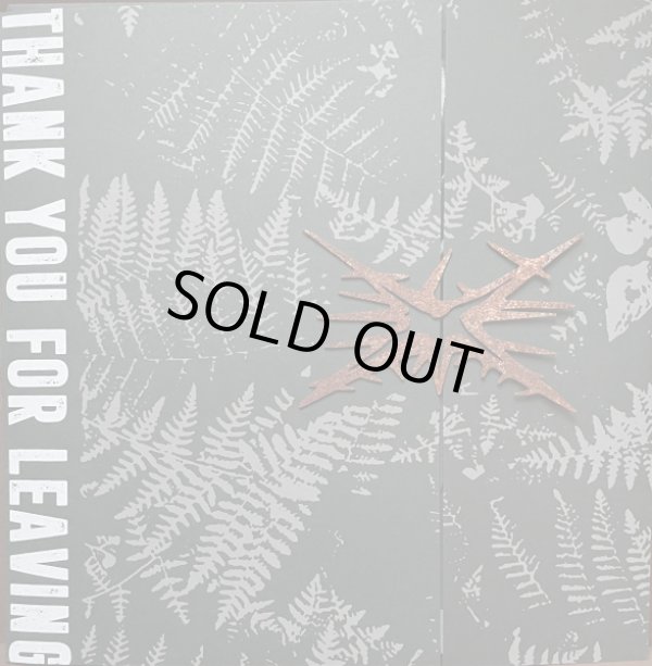 画像1: MÖRSER / Thank you for leaving (Lp) Immigrant sun 