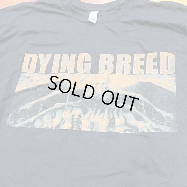 画像1: DYING BREED / Marked man (t-shirt) A389  