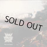 画像: View From The Soyuz / The last chapter (cd) Self