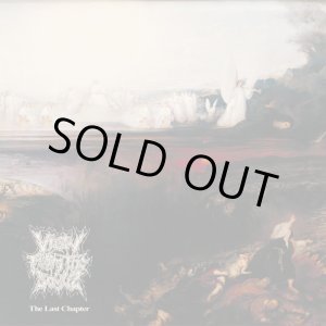 画像: View From The Soyuz / The last chapter (cd) Self