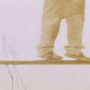 画像:  IRONSTONE / Fyt2 (cdr)