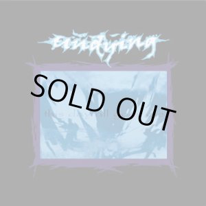 画像: UNDYING / This day all gods die (Lp) Holy mountain