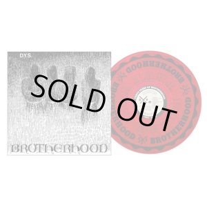 画像: D.Y.S. / Brotherhood (Lp) Bridge nine 