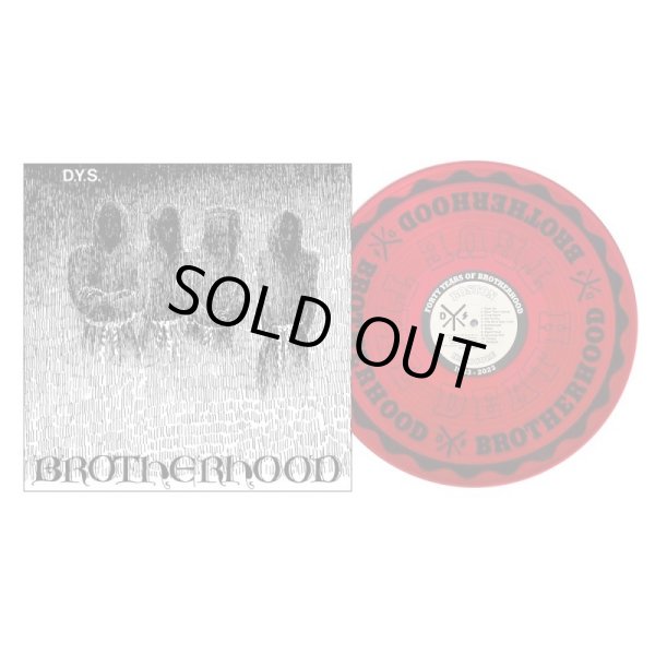 画像1: D.Y.S. / Brotherhood (Lp) Bridge nine 