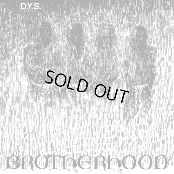 画像2: D.Y.S. / Brotherhood (Lp) Bridge nine 