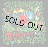 画像: V.A / Turn weapons into watermelons (cd) Blood sucker