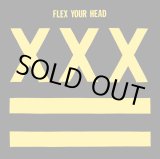画像:  V.A / Flex your head (Lp) Dischord 