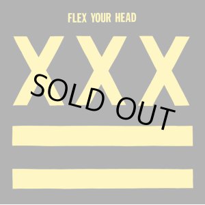 画像:  V.A / Flex your head (Lp) Dischord 