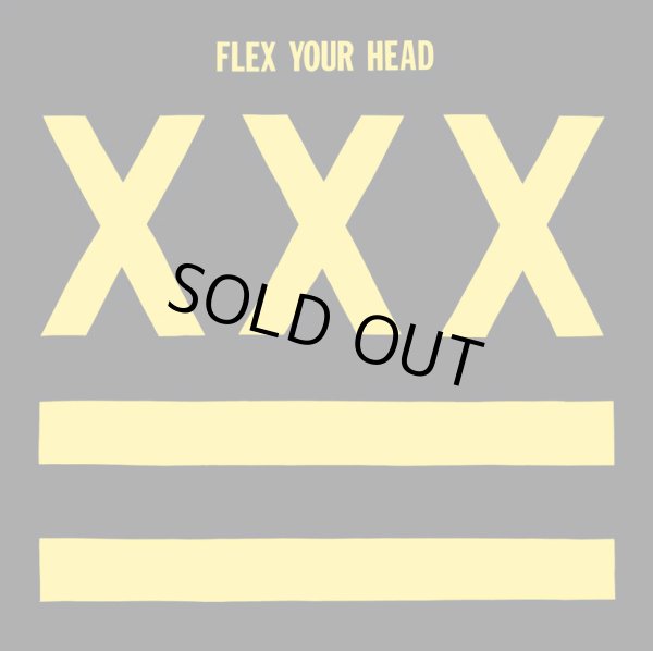 画像1:  V.A / Flex your head (Lp) Dischord 