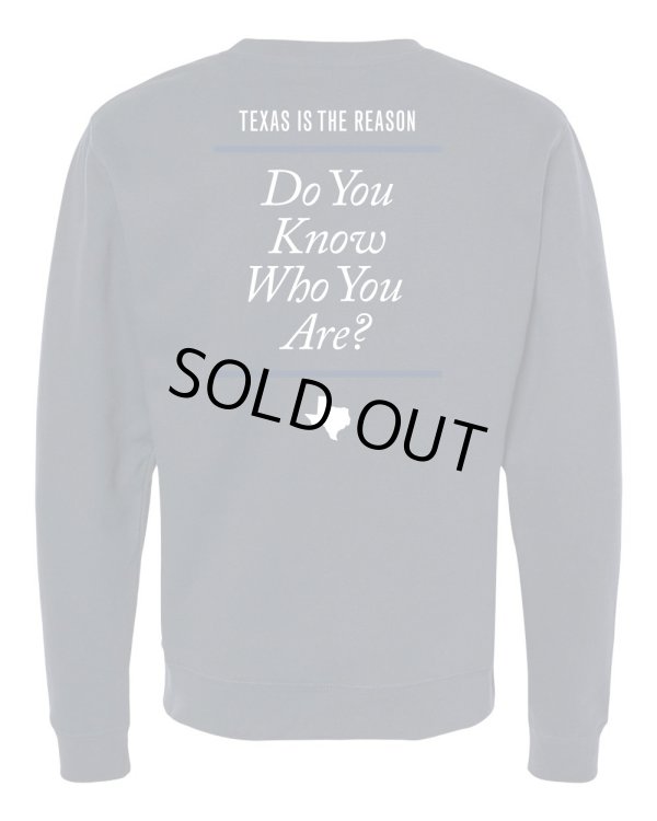 画像4: TEXAS IS THE REASON / Logo -navy- (crew sweatshirt) Revelation   