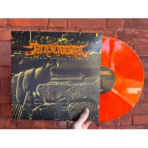 画像: INDICATION / Ataraxia of the phoenix (Lp) Daze