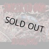画像: SWEAR TO GOD, BAYOU / Split (cd) 