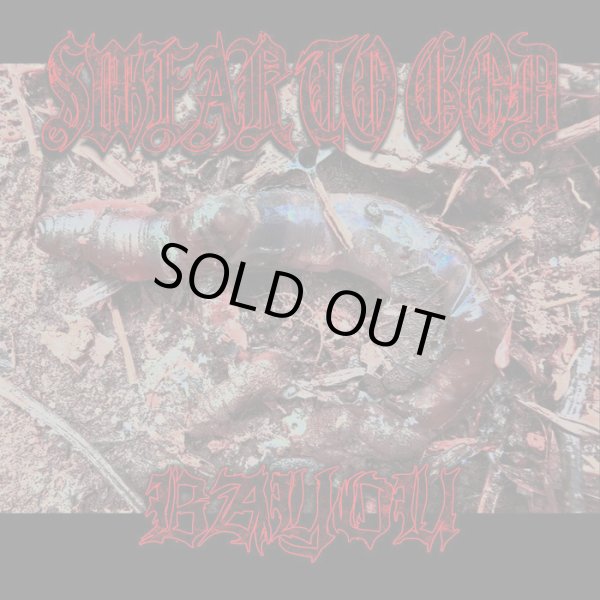 画像1: SWEAR TO GOD, BAYOU / Split (cd) 