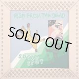 画像: RISE FROM THE DEAD / Sugar spot (cd) Affinity sound
