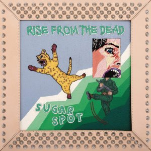 画像: RISE FROM THE DEAD / Sugar spot (cd) Affinity sound