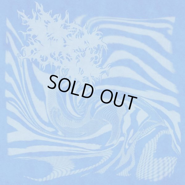 画像1:  DC / Dmc (cd) Dead sky