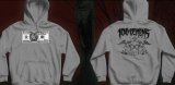 画像: 100 DEMONS / Demons dollar Grey (hoodie) A389 