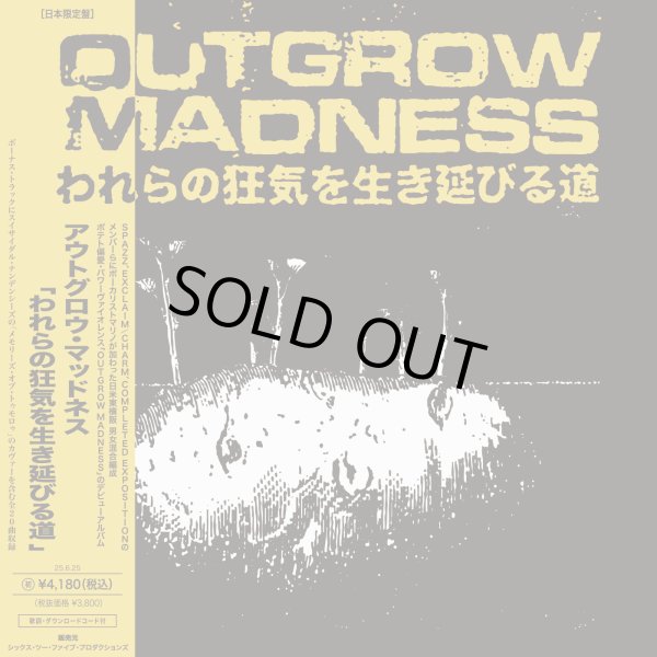 画像1: ■予約商品■　OUTGROW MADNESS / われらの狂気を生き延びる道 (Lp) 625 