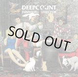 画像: DEEPCOUNT / Tunneling effector (Lp) Self 