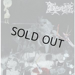 画像: DEALE / st (cd) WDsounds 