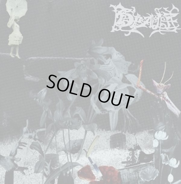 画像1: DEALE / st (cd) WDsounds 