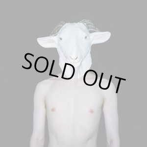 画像: NEGATIVE SUN / Menticide (Lp) Twelve gauge