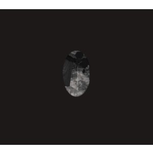 画像: ■予約商品■ SLUG / st (cd) Daymare 