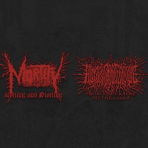 画像: MORTIFY, HUMAN CORPSE ABUSE / Split (cd)