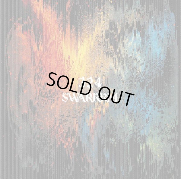 画像1: 324, SWARRRM / Split (cd) Daymare