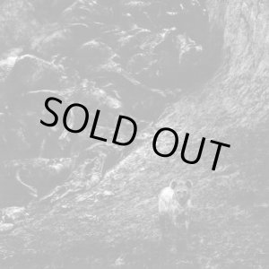 画像: ■予約商品■ INTERNAL / Instinct (7ep) Rsr 