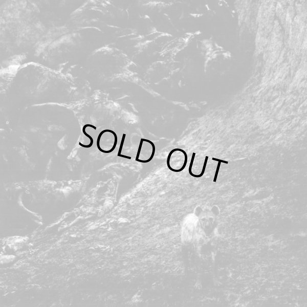 画像1: ■予約商品■ INTERNAL / Instinct (7ep) Rsr 