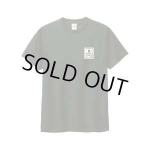 画像: HG Fact / Logo black (t-shirt) Break the records