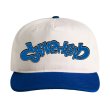 画像3: SKARHEAD / Logo (cap)