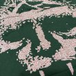画像3:   INTEGRITY / Forest skull (t-shirt)  